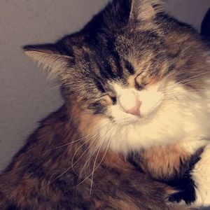 Meet your Posher, Harper